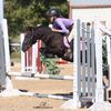 autumn_horses2011