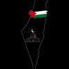 falasteen725