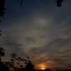 zule_rosa04