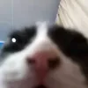 o0o0o0o1234