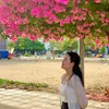 windy9_6