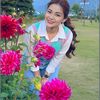 hoanglan_8686