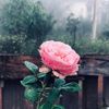 thoike030294