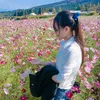 nguyentrang1190