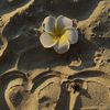 emelda_367