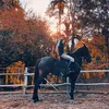 Atina stable