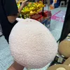 userp240706