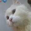 kiricrazy_09