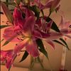 _its_mary_12_