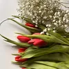 dianebailey_03