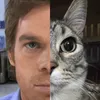 dexter_1422