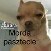 twoja_matka60