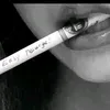 beh4st_22