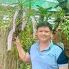 hoangchuong47