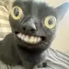 dy2mvlug66ay