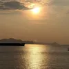 _thuy1111