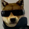 leon.oechsle