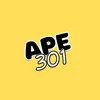 ape301_