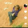 user2681081227435