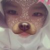 urlove.qiyaa1