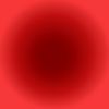 _cowgir0816