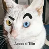 tuvieja414