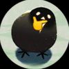 selckorscar