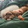 abbyhannah39