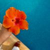 shimaa_225