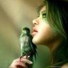 chicks558