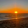 reyven_28904