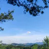 userchf8ersdo6