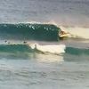 johnnie_aloha