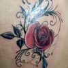 nawasena_06