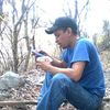 bismarckflores1