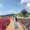 hlien281238