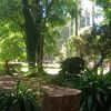salimm0707