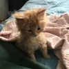 hzsleepy.ca