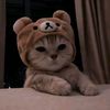 aye.thandar.aung24822