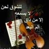 elhamhassanaly