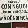 thanhdat09_10