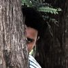 estradalotso