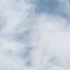 d1n41w