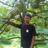 dondonvallay