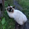 ksenkae12345