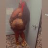 bigmamajuicee