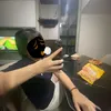 chjchxongbo_