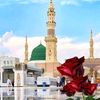 mkhalidgujjr