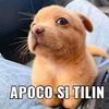 victortillazzz