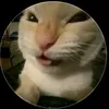 alexander___.xd